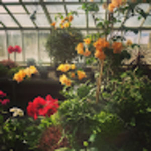 Meet your Posher, Melissa